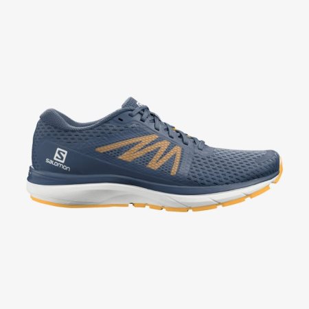 Salomon VECTUR Laufschuhe Herren Navy [6GKU-V]